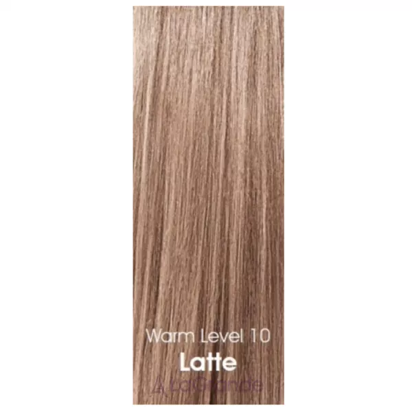 CHI Tone & Gloss Ammonia-Free Demi-Permanent Cream Toner �������� ����� ��� �����