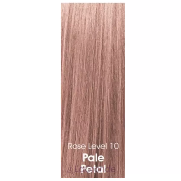 CHI Tone & Gloss Ammonia-Free Demi-Permanent Cream Toner �������� ����� ��� �����