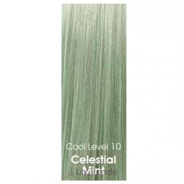 CHI Tone & Gloss Ammonia-Free Demi-Permanent Cream Toner �������� ����� ��� �����