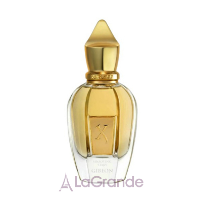 Xerjoff  Shooting Stars Gibeon ������� (������)