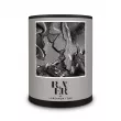 Raer Scents 08 Labdanum + Oak ����