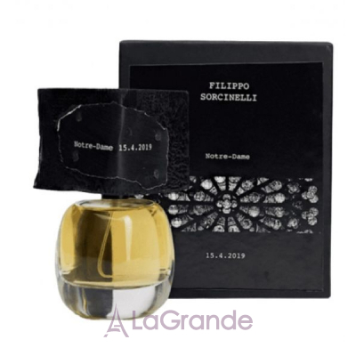 Filippo Sorcinelli Notre Dame 15.4.2019 ����