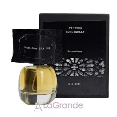 Filippo Sorcinelli Notre Dame 15.4.2019 ����