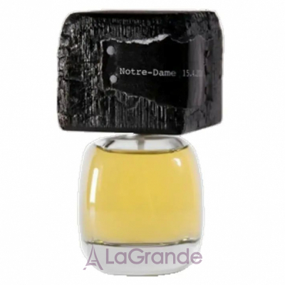 Filippo Sorcinelli Notre Dame 15.4.2019 ���� (������)