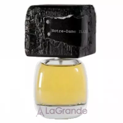 Filippo Sorcinelli Notre Dame 15.4.2019 ���� (������)