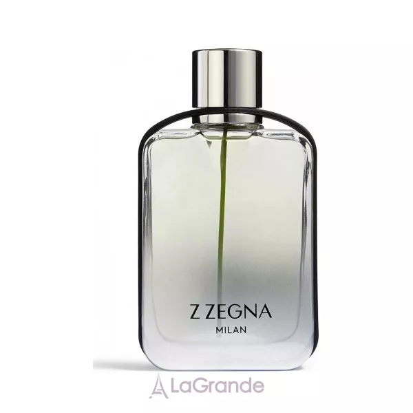 Ermenegildo Zegna Z Zegna Milan ��������� ����