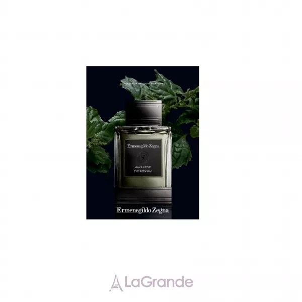 Ermenegildo Zegna Javanese Patchouli ��������� ���� (������)