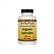 �ֲ��� Healthy Origins Spirulina Organic 500 mg 180pcs