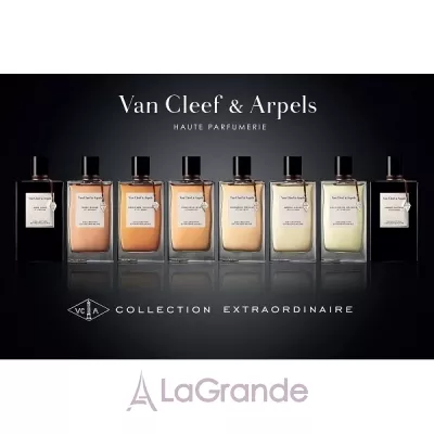 Van Cleef & Arpels Collection Extraordinaire Ambre Imperial  