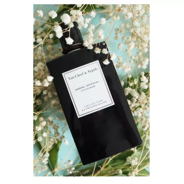 Van Cleef & Arpels Collection Extraordinaire Ambre Imperial ��������������� ����