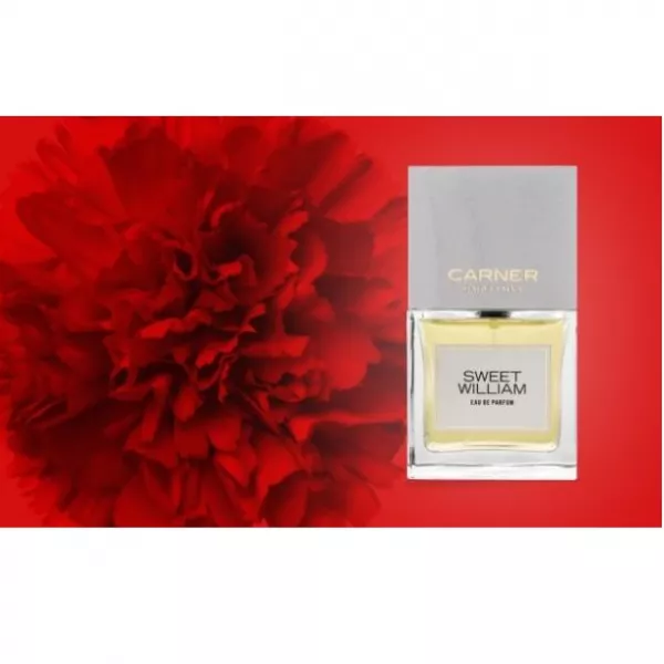Carner Barcelona Sweet William ����������� ����