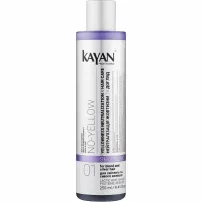Kayan Professional No-Yellow Shampoo ������� ��� ������������ �������� �������
