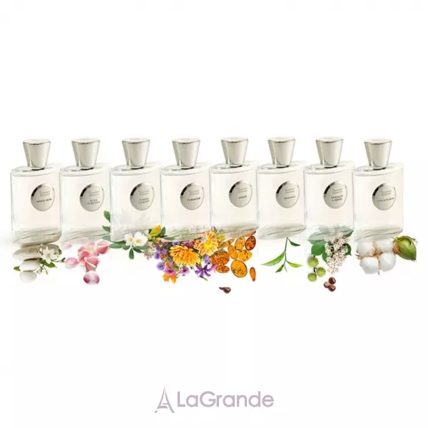 Giardino Benessere Rosa Dorotea ����������� ����