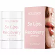 Hollyskin So Lips. Recovery Lip Mask 15g