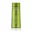 ������ Giovanni Hemp Hydrating Conditioner 250ml
