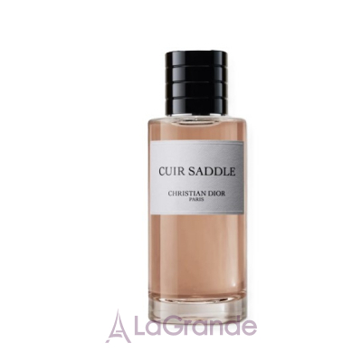 Christian Dior Cuir Saddle ����������� ����