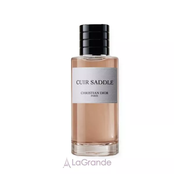 Christian Dior Cuir Saddle ����������� ����