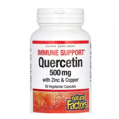 Natural Factors Quercetin 500mg with Zinc & Copper ��������� � ������ � ����, 500 ��