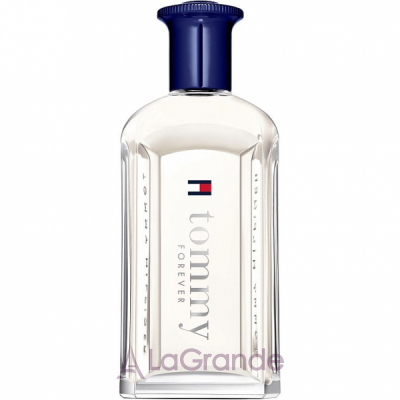 Tommy Hilfiger Tommy Forever ��������� ���� (������)