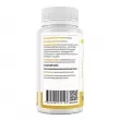Biotus Folate Vitamin B12 ĳ������ ������� 
