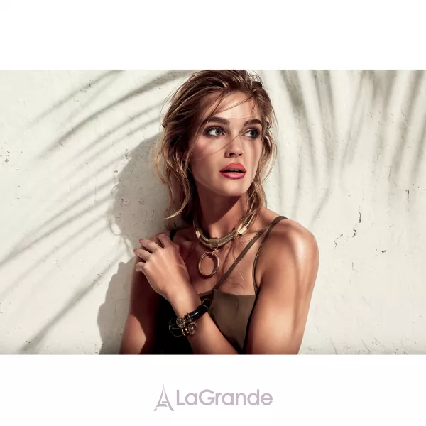 Artdeco Bronzing Blusher ��������� ���'��� � �������