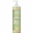 Dr. Kraut Body Home Use Shower Shampoo Gel 500ml