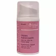 Dr. Kraut Face Balance Purifying Cream With Tea Tree Oil And Aloe Vera 50ml