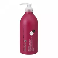 Kumano Yushi Salon Link  Amino Damage Repair Tsubaki Shampoo ������� ��� ������������ ����� � ������ �������