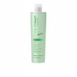 �ֲ��� Inebrya Frequent Ice Cream Refreshing Shampoo 300ml