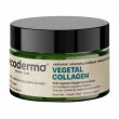 Ecoderma Vegetal Collagen Hair Mask 250ml