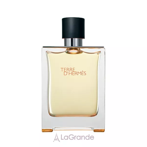Hermes Terre D`Hermes ���� (�������� ���� 100 �� + ���� ��� ���� 80 ��)
