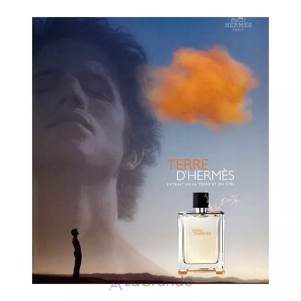 Hermes Terre D`Hermes ���� (�������� ���� 100 �� + ���� ��� ���� 80 ��)