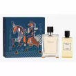 Hermes Terre D`Hermes ����� (��������� ���� 100 �� + ���� ��� ���� 80 ��)