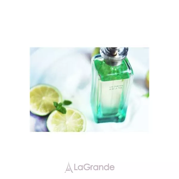 Hermes Un Jardin sur le Nil ����� (��������� ���� 100 �� + ������ ��� ���� 40 �� + ��������� 7.5 ��)