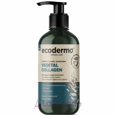 Ecoderma Vegetal Collagen Shampoo ������� � ��������� ��������� �� �������