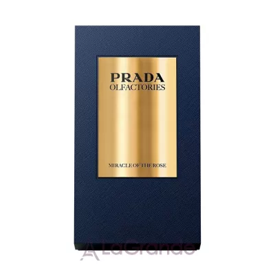 Prada Mirages Miracle of the Rose ����������� ����