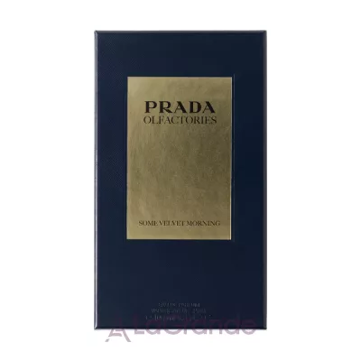 Prada Mirages Some Velvet Morning ��������������� ����