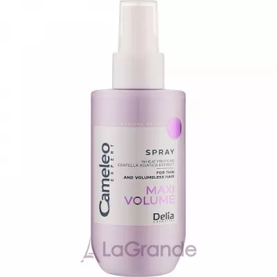 Delia Cameleo Expert Maxi Volume Spray ����� ��� ������ �����