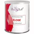Beautyhall Rosa Professional Wax ³�� ��� �������� � ����� 