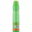 Tulipan Negro Original Deo Spray ����������-�����