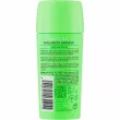 Tulipan Negro Original Deo Stick ����������-���