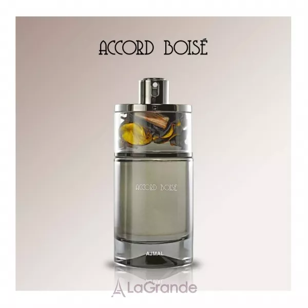 Ajmal Accord Boise ��������������� ����