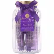 Grace Cole The Luxury Bathing Lavender Journey To Wellness Silent Night 2026 ����� ��� ��� � ���� 2026 