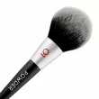 Pastel 01 Powder Brush ������� ��� ����� 01