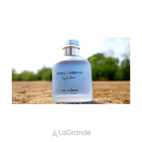 Dolce & Gabbana Light Blue Eau Intense Pour Homme ��������������� ���� (������)