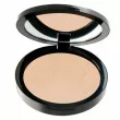 Pastel Profashion Advanced Compact Powder 45 
