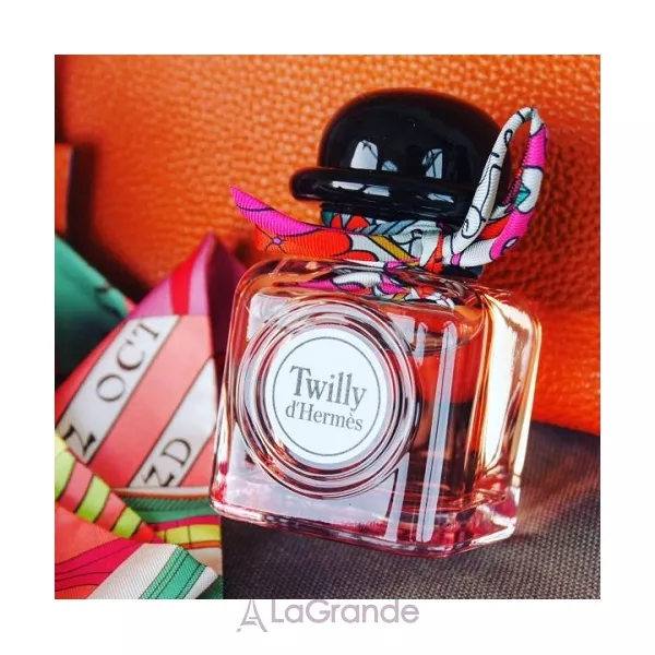 Hermes Twilly d`Hermes ��������������� ����