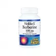 Natural Factors WellBetX Berberine 1000 mg �������� 1000 ��