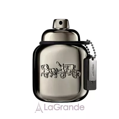 Coach Pure Platinum ����