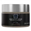 Famirel Mud Scalp Scrub 250ml
